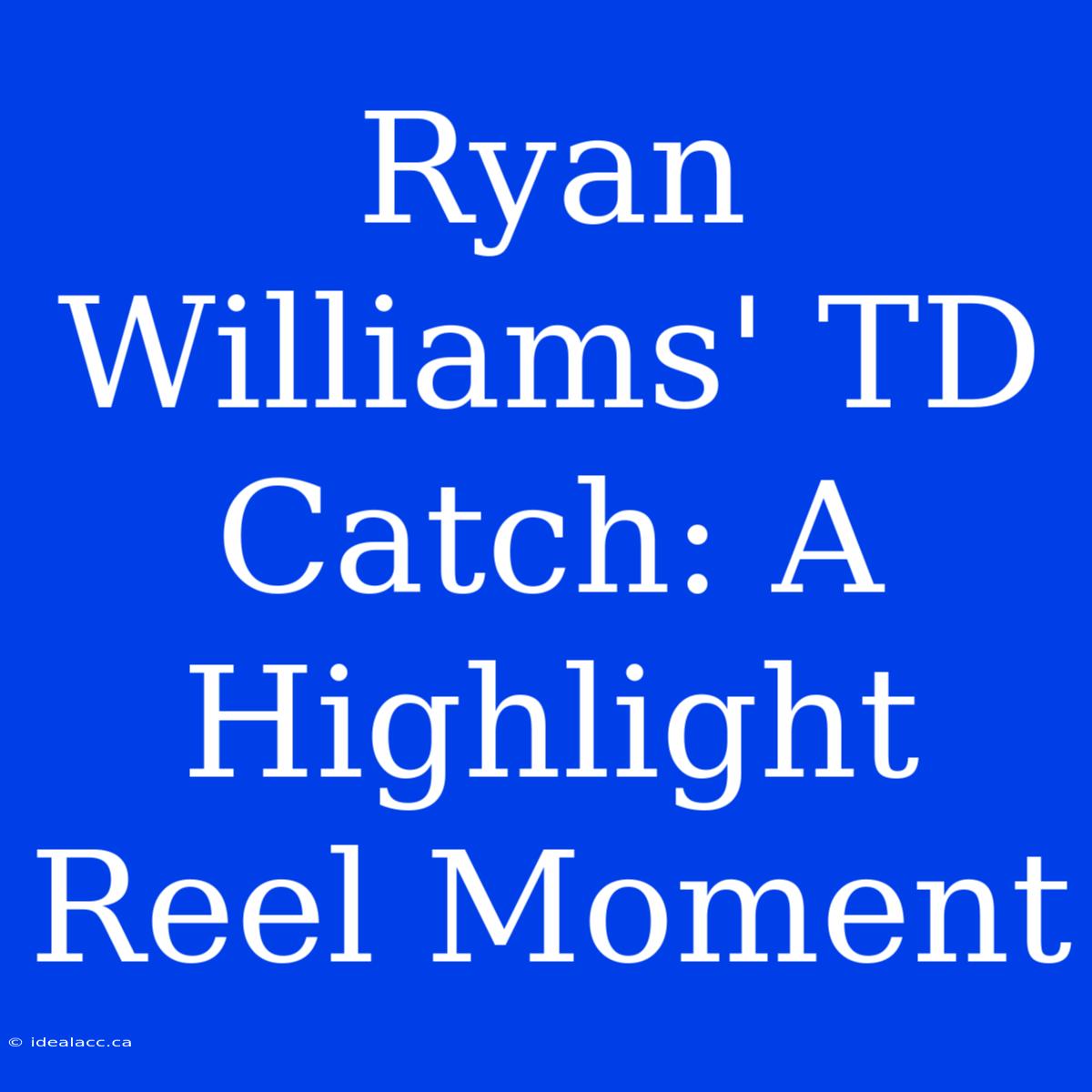 Ryan Williams' TD Catch: A Highlight Reel Moment 