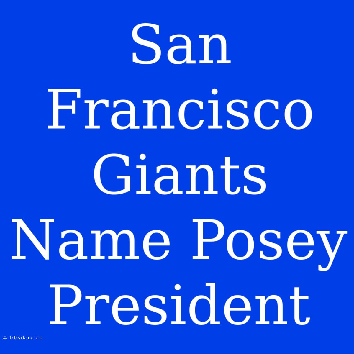 San Francisco Giants Name Posey President