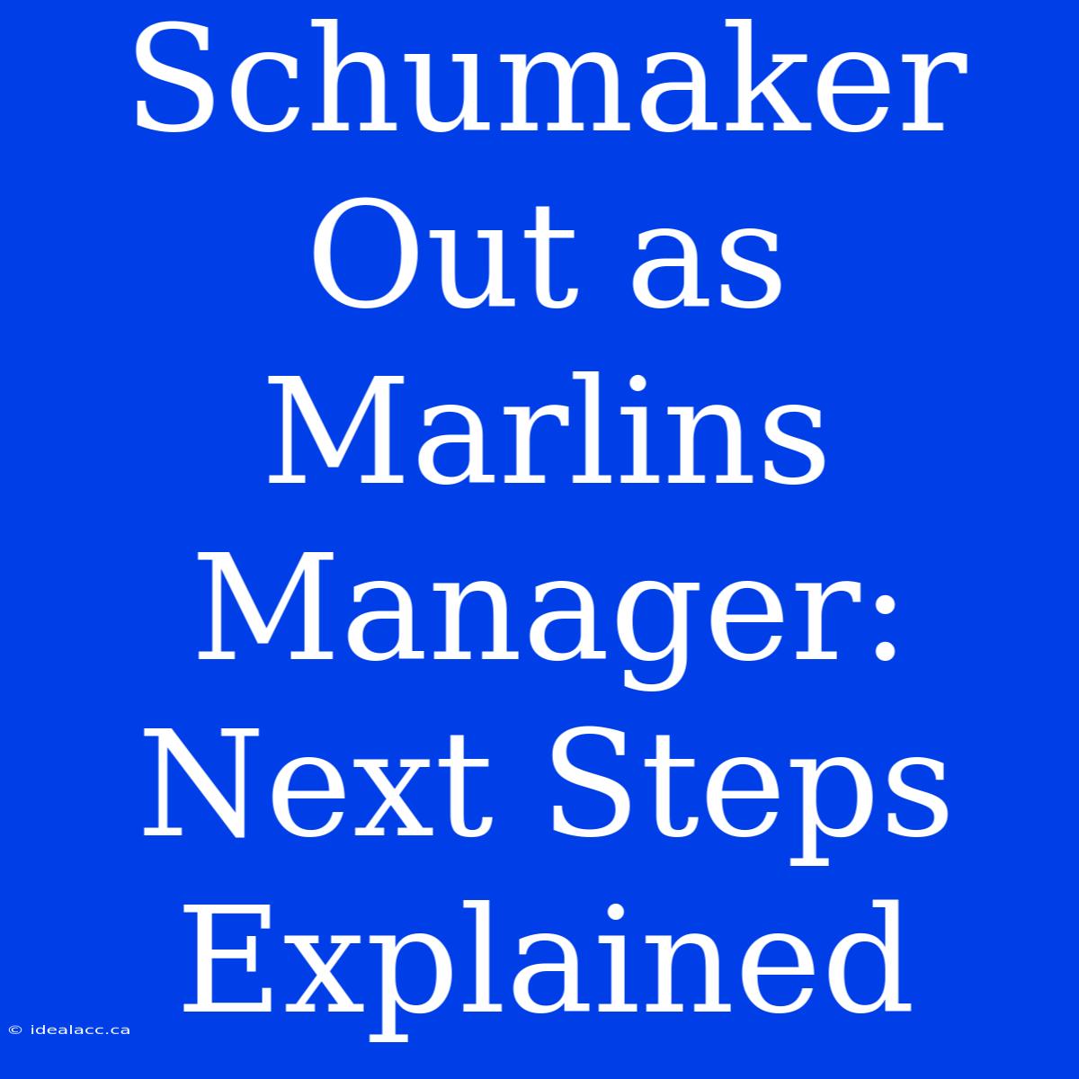 Schumaker Out As Marlins Manager: Next Steps Explained