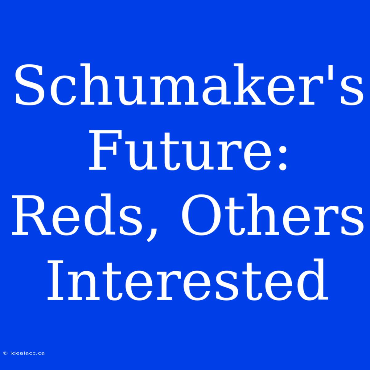 Schumaker's Future: Reds, Others Interested