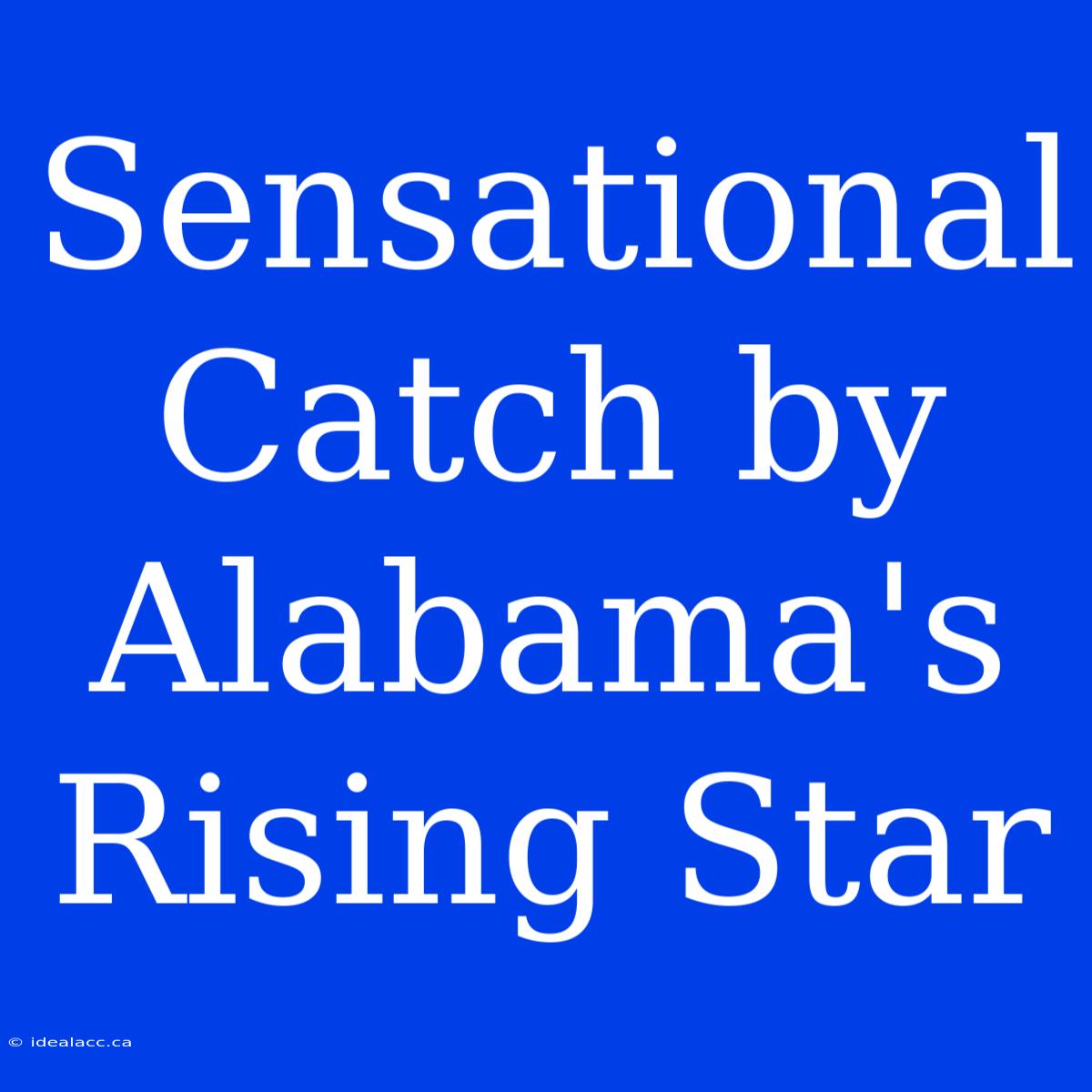 Sensational Catch By Alabama's Rising Star