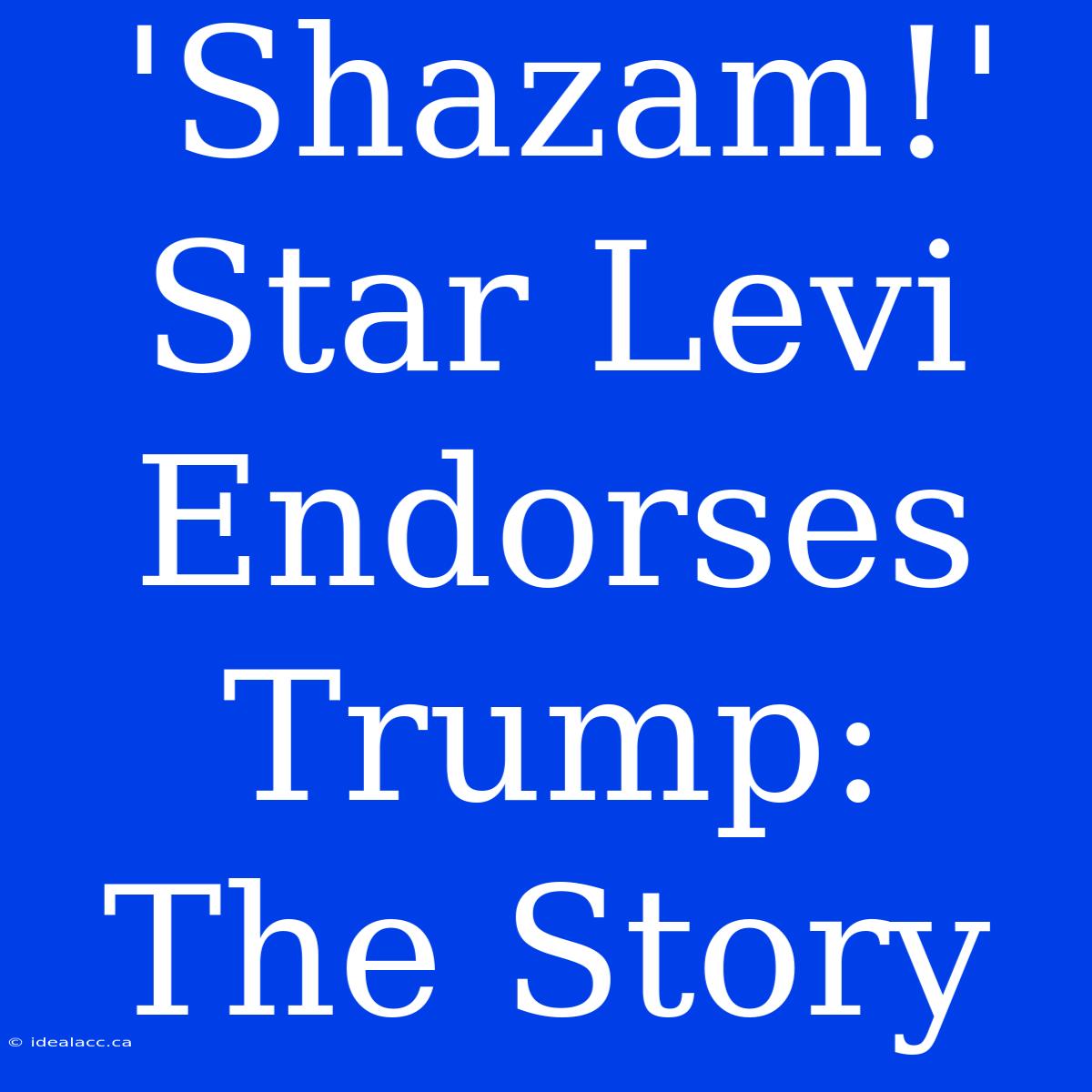 'Shazam!' Star Levi Endorses Trump: The Story 