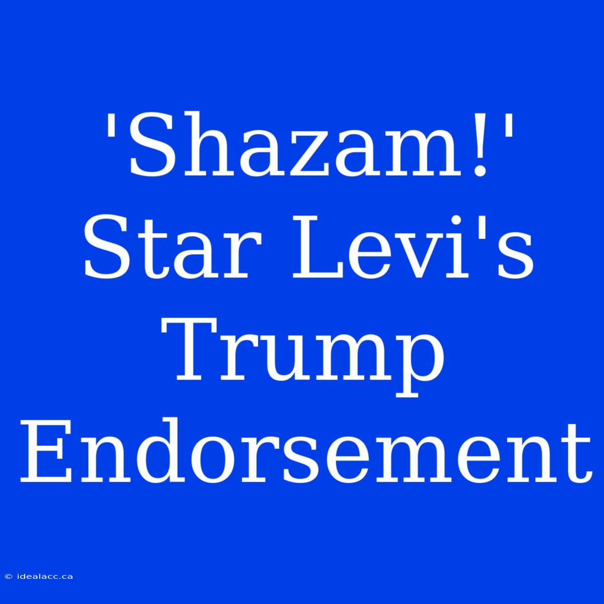 'Shazam!' Star Levi's Trump Endorsement