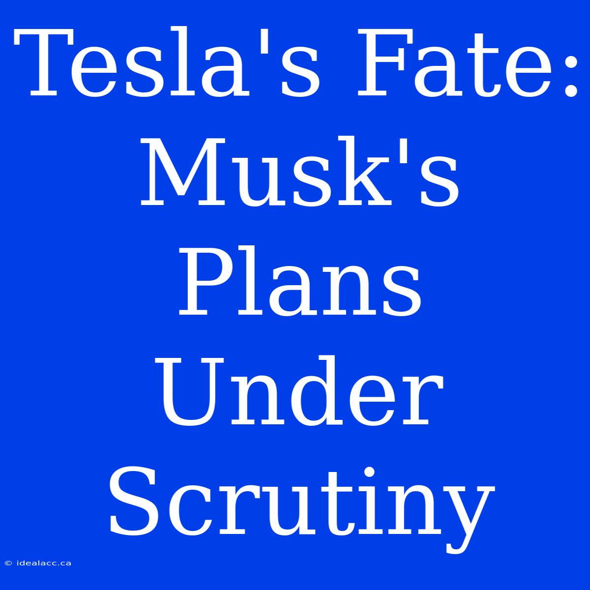 Tesla's Fate:  Musk's Plans Under Scrutiny 