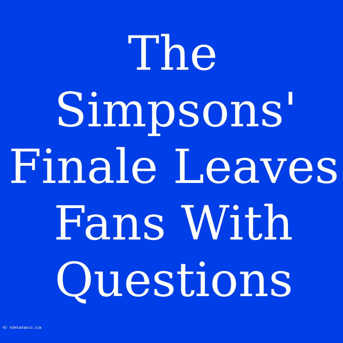 The Simpsons' Finale Leaves Fans With Questions