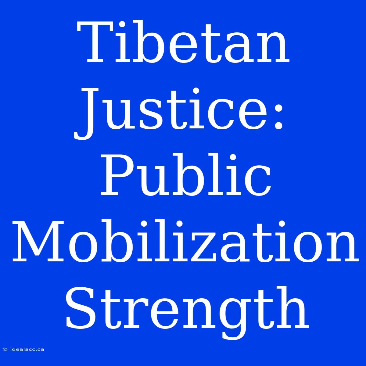 Tibetan Justice: Public Mobilization Strength