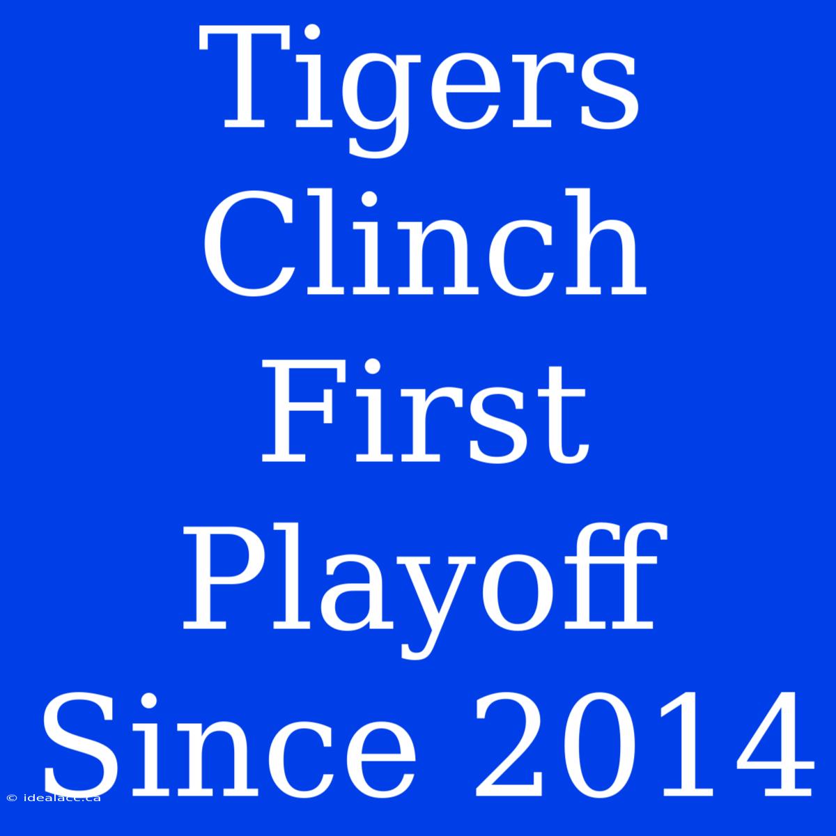 Tigers Clinch First Playoff Since 2014