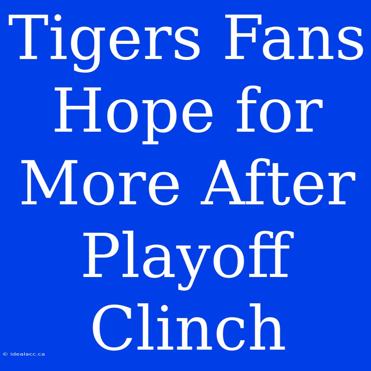 Tigers Fans Hope For More After Playoff Clinch