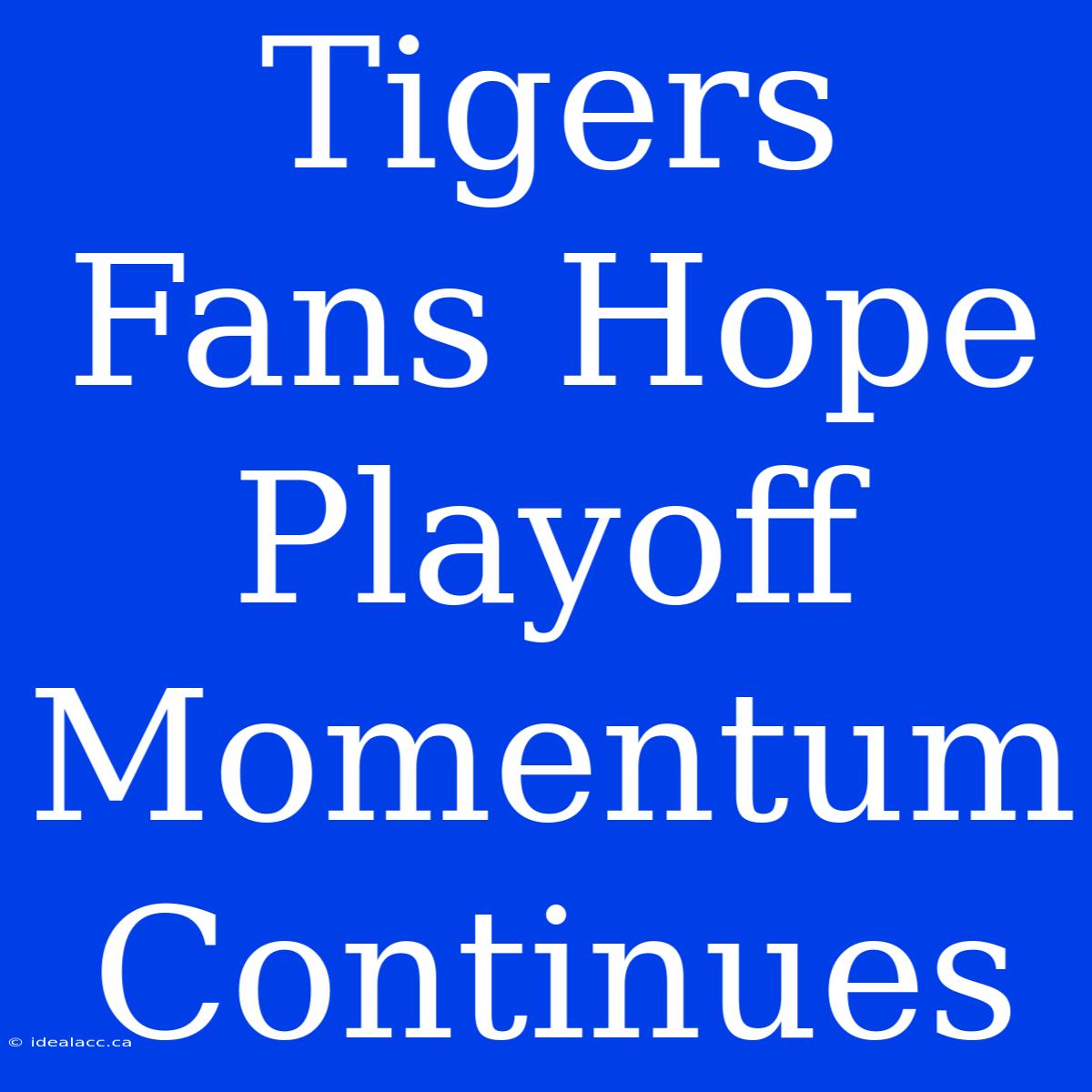 Tigers Fans Hope Playoff Momentum Continues