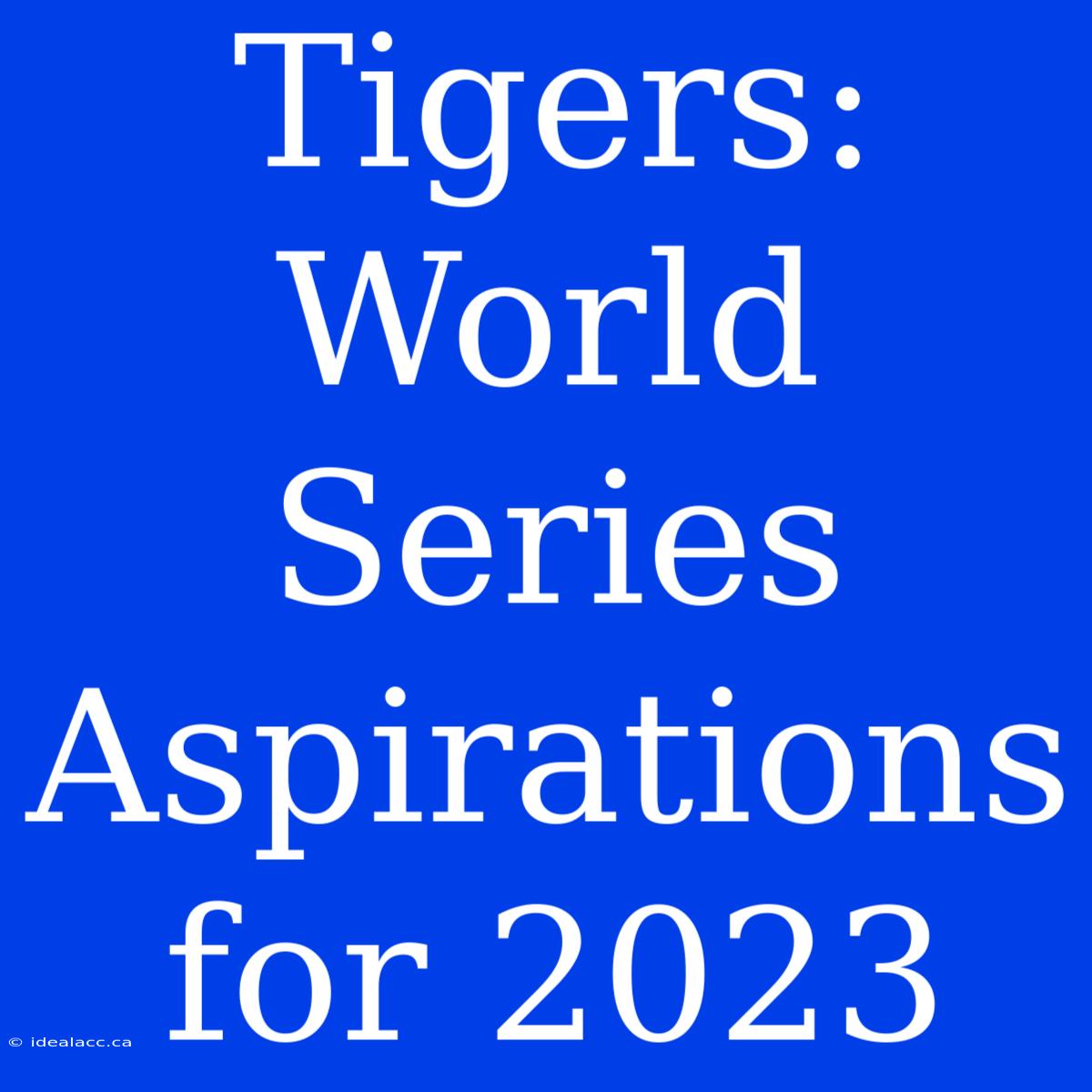 Tigers: World Series Aspirations For 2023 