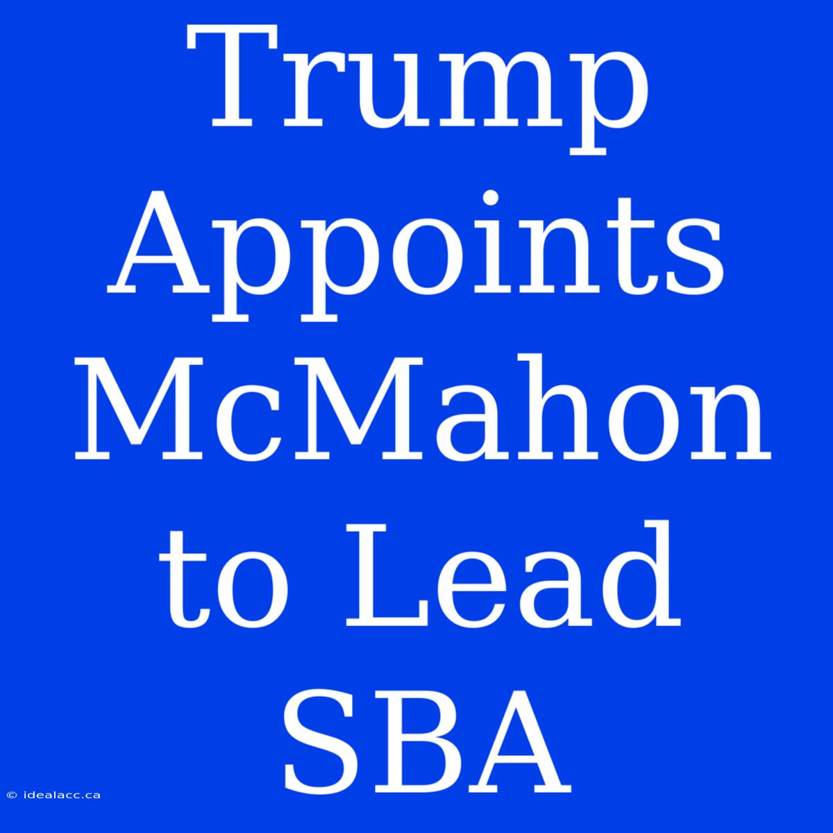 Trump Appoints McMahon To Lead SBA