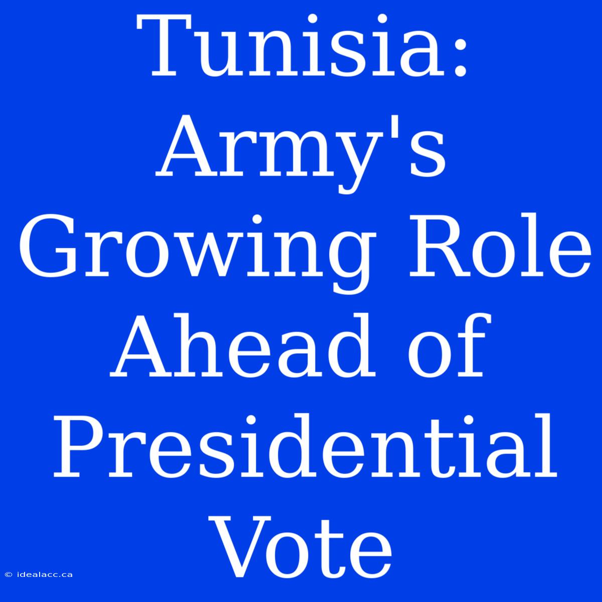 Tunisia: Army's Growing Role Ahead Of Presidential Vote