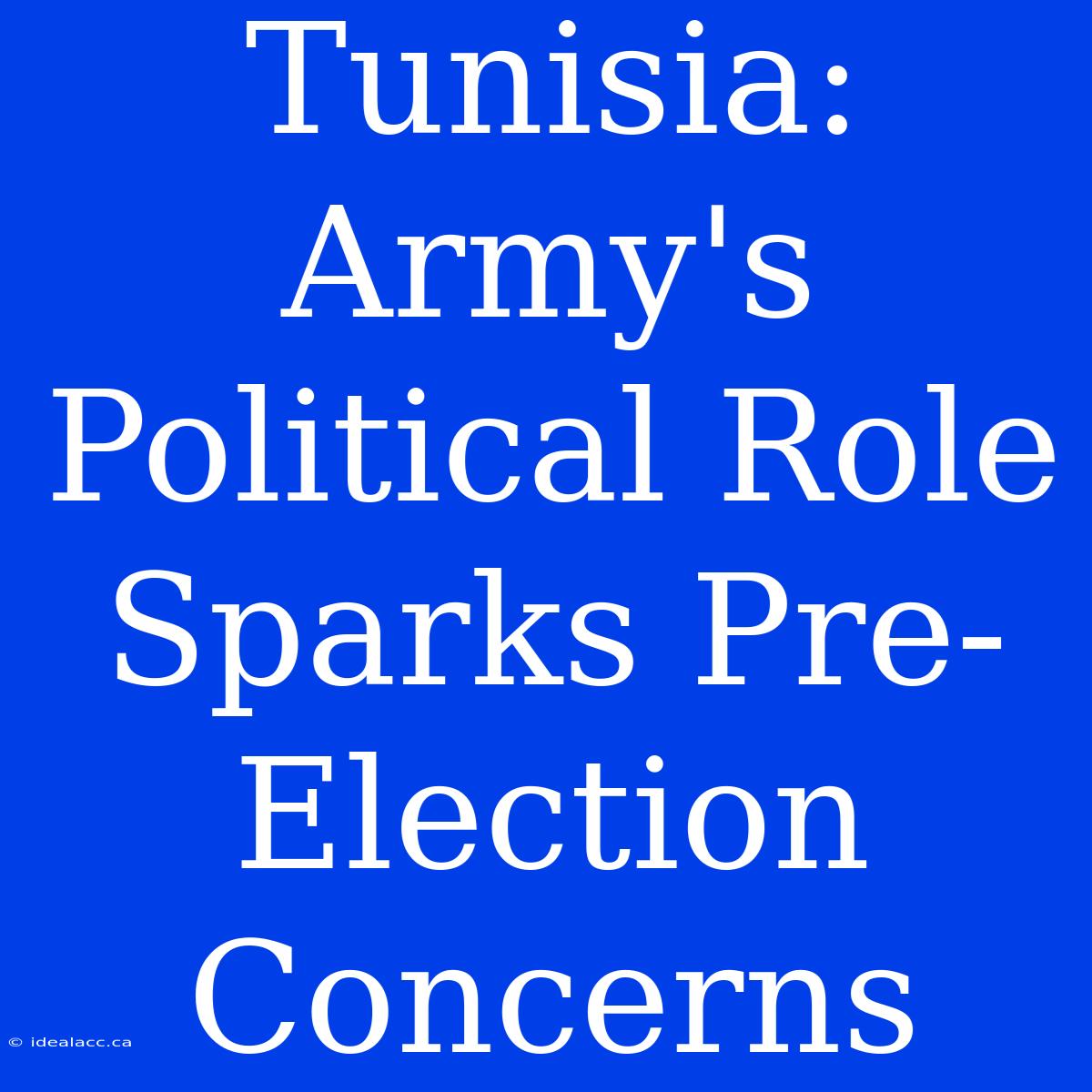 Tunisia: Army's Political Role Sparks Pre-Election Concerns