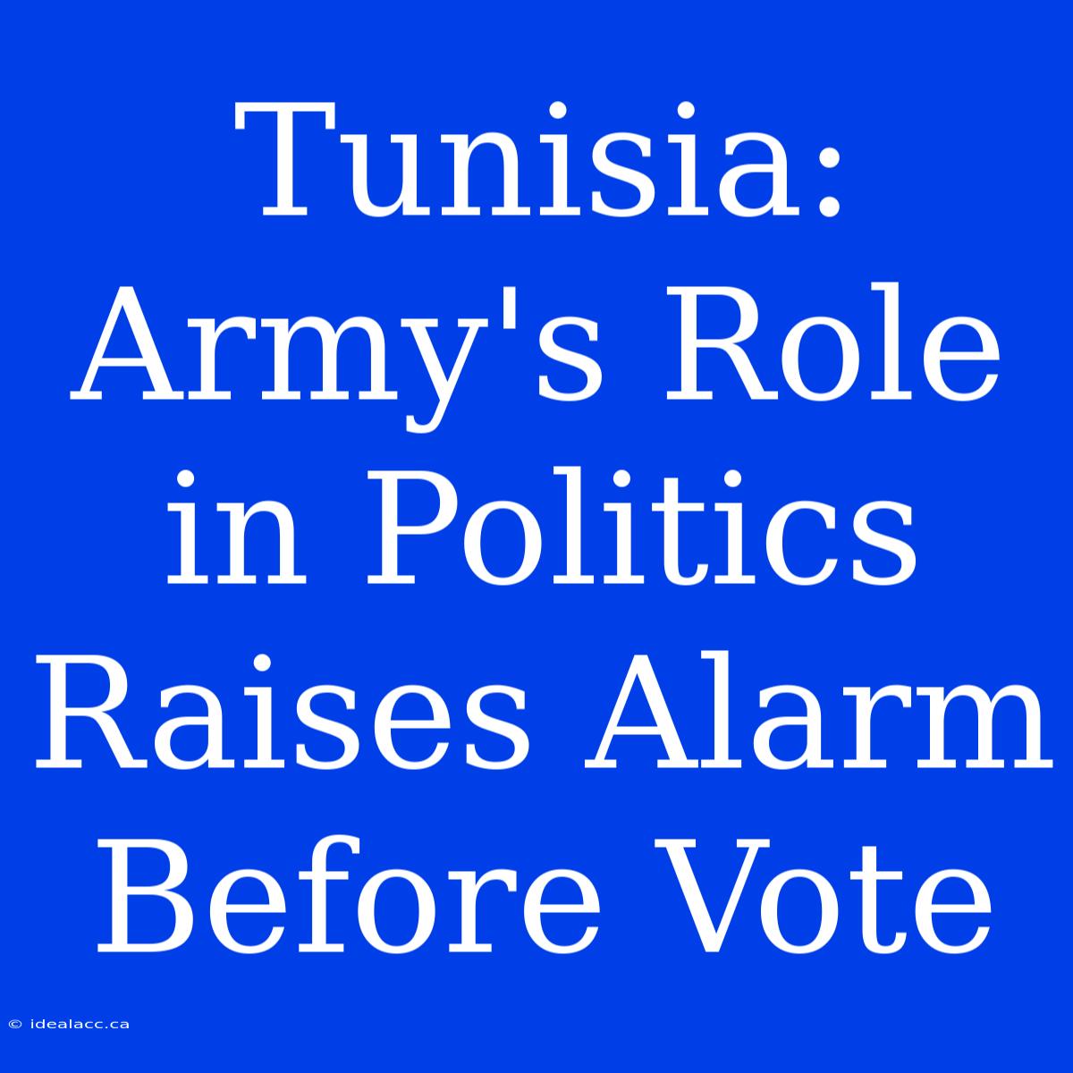 Tunisia: Army's Role In Politics Raises Alarm Before Vote