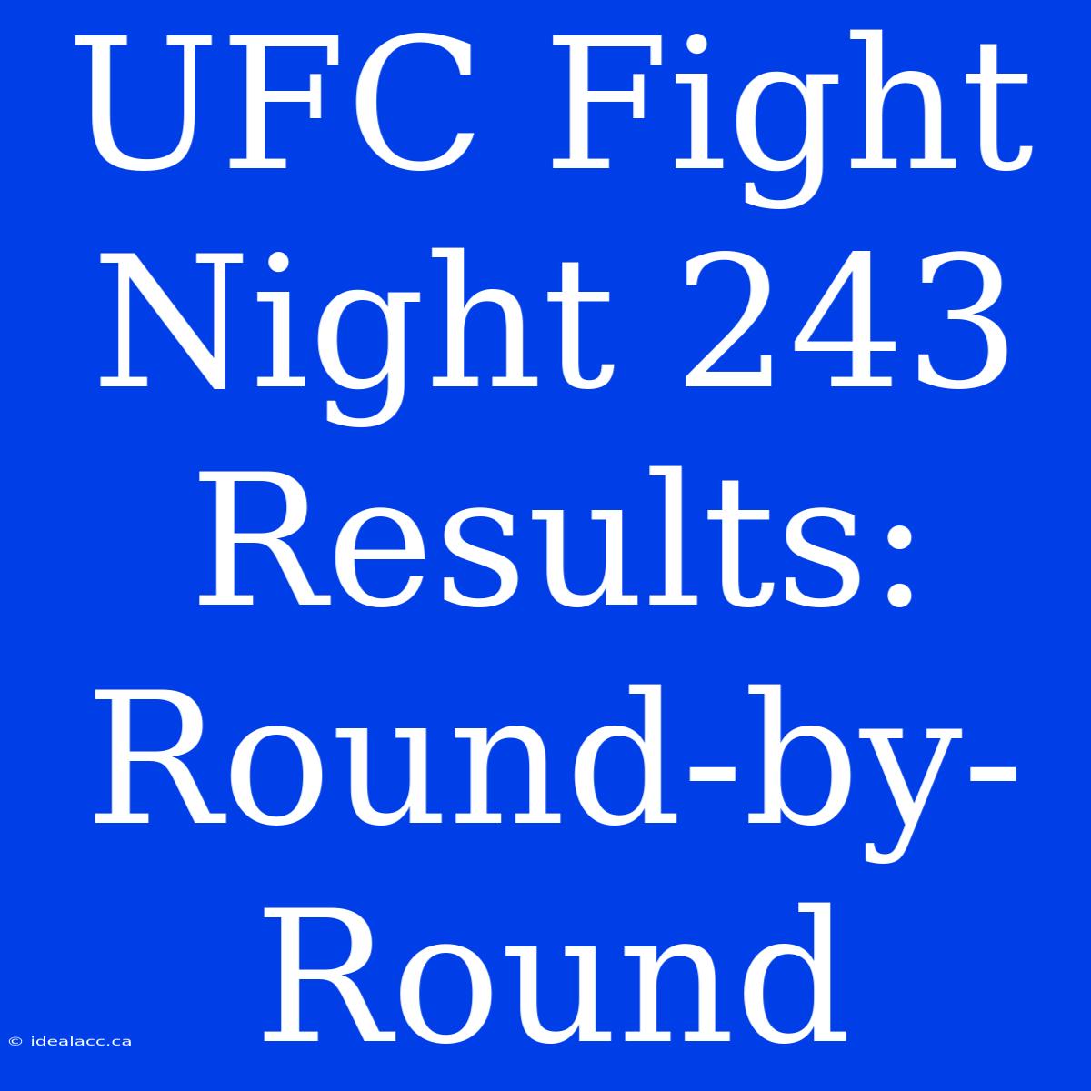 UFC Fight Night 243 Results: Round-by-Round