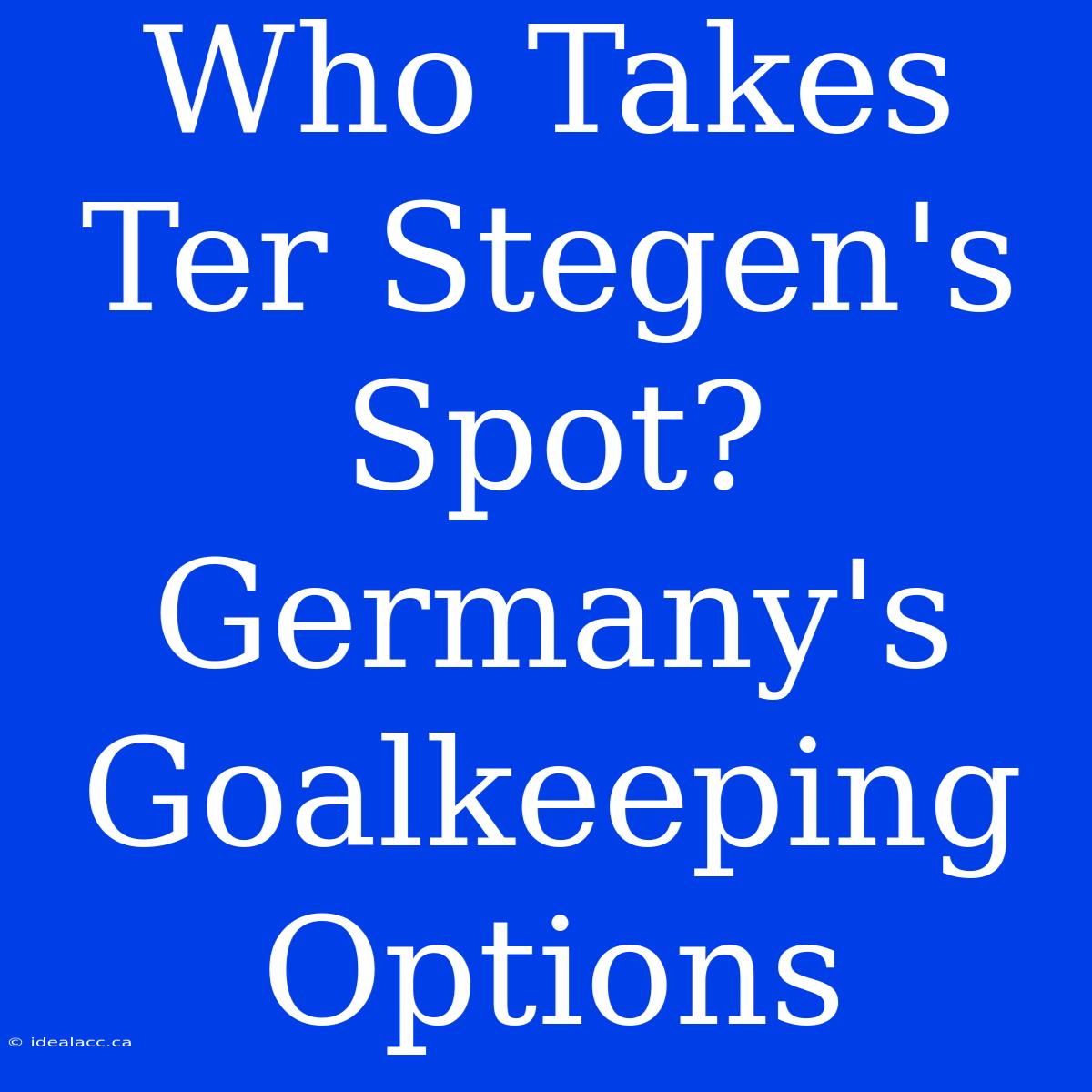 Who Takes Ter Stegen's Spot? Germany's Goalkeeping Options