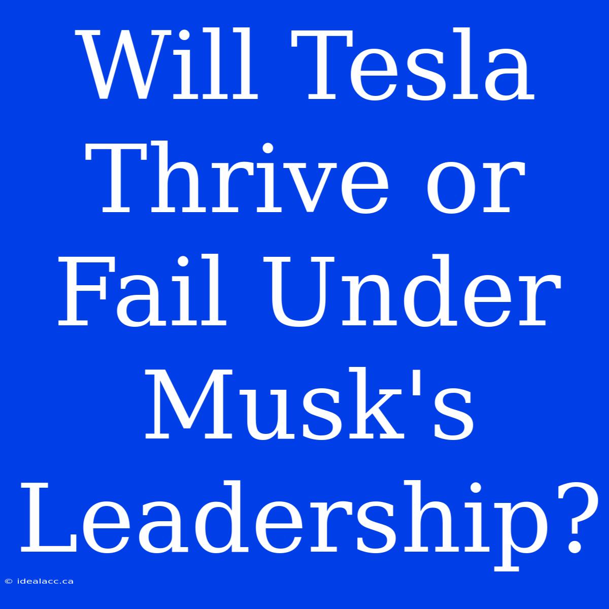 Will Tesla Thrive Or Fail Under Musk's Leadership?