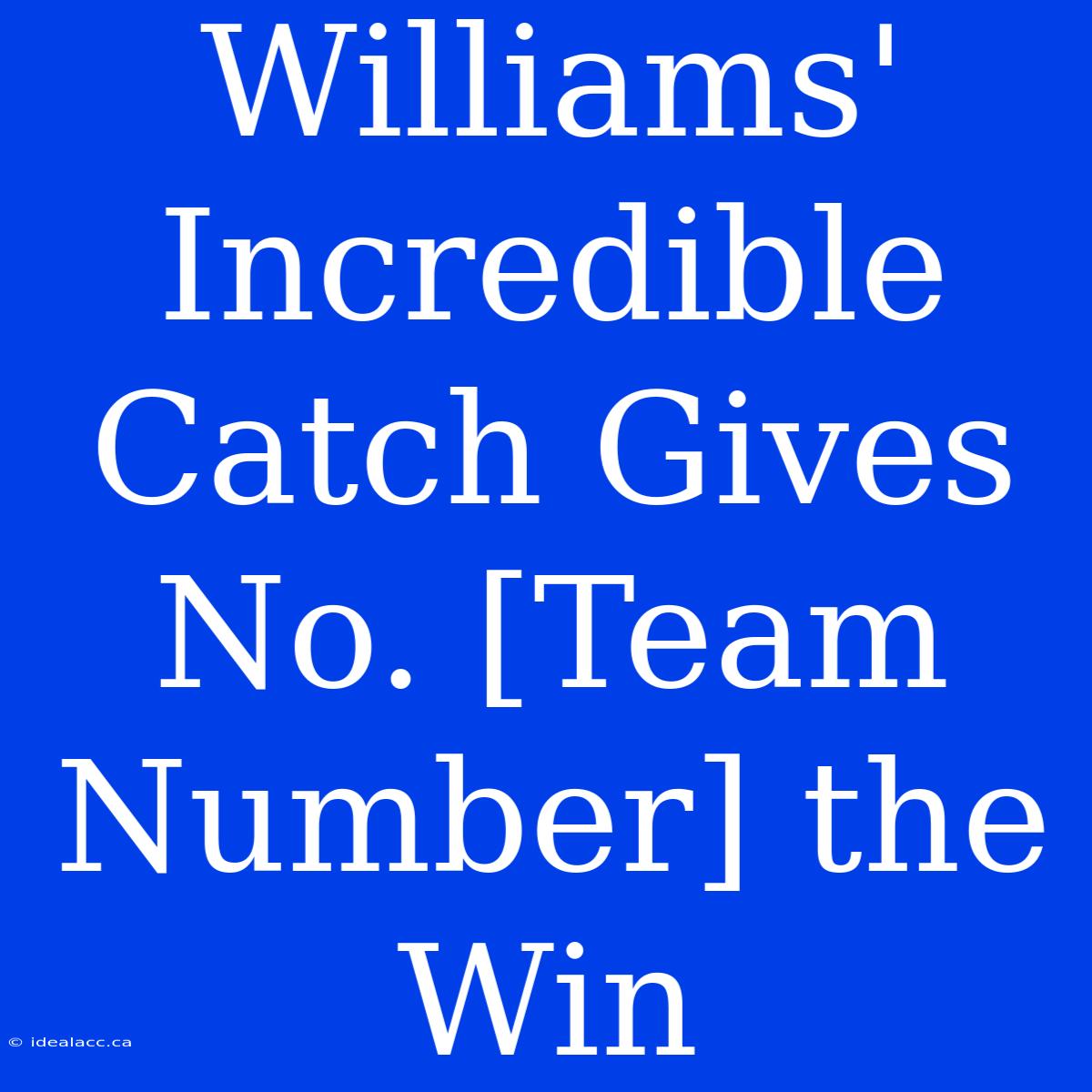 Williams' Incredible Catch Gives No. [Team Number] The Win