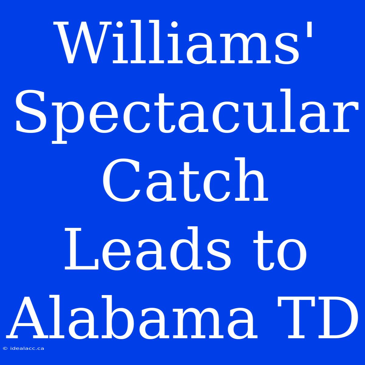 Williams' Spectacular Catch Leads To Alabama TD