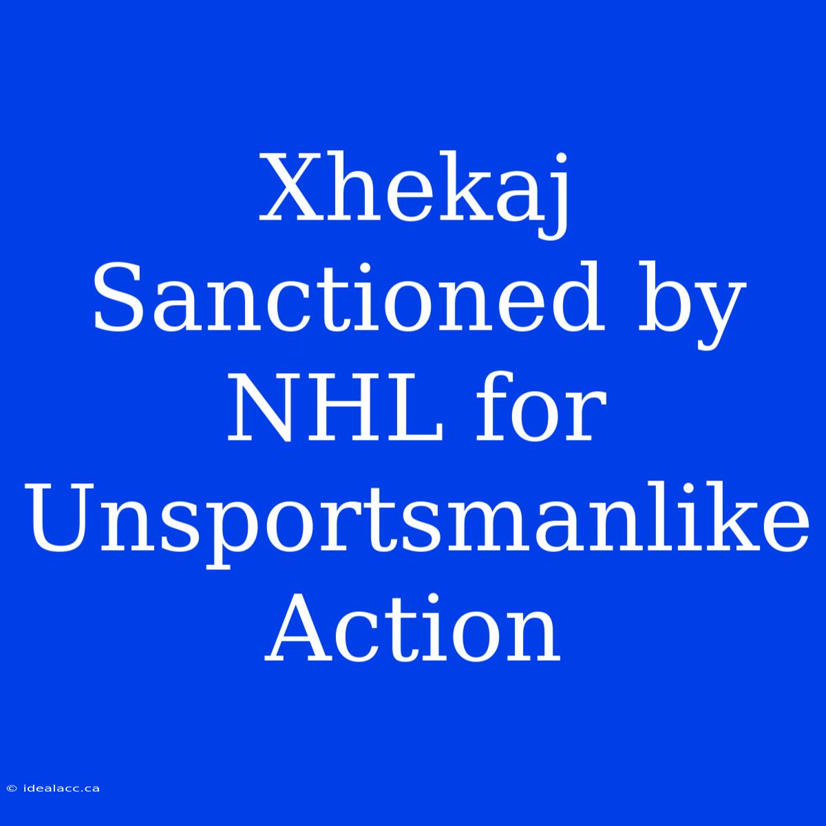 Xhekaj Sanctioned By NHL For Unsportsmanlike Action