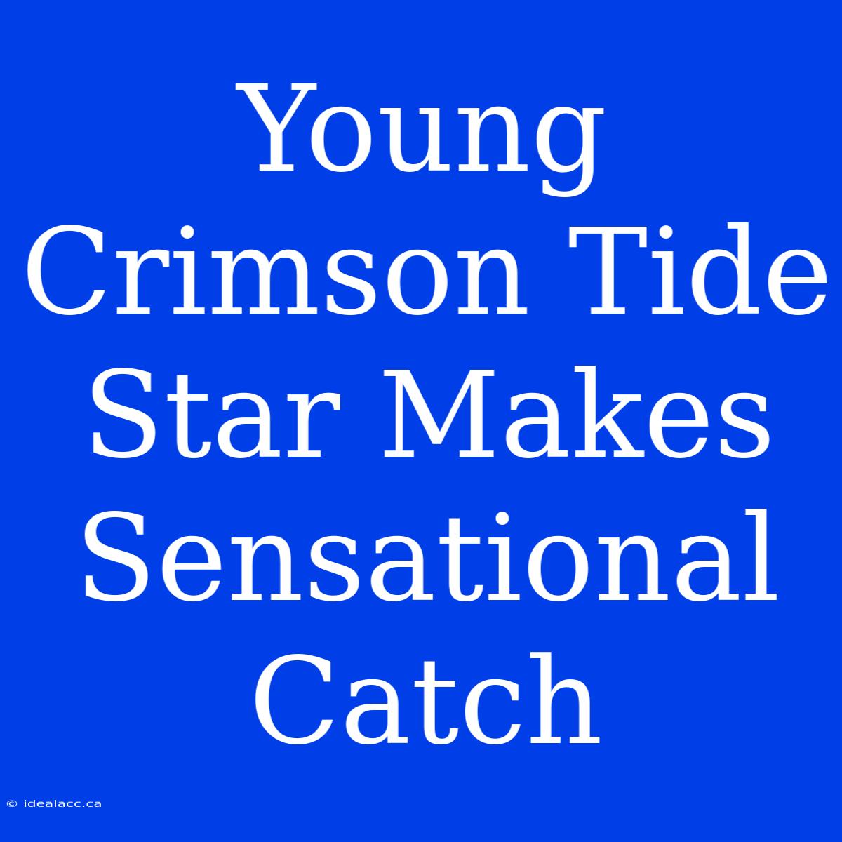 Young Crimson Tide Star Makes Sensational Catch