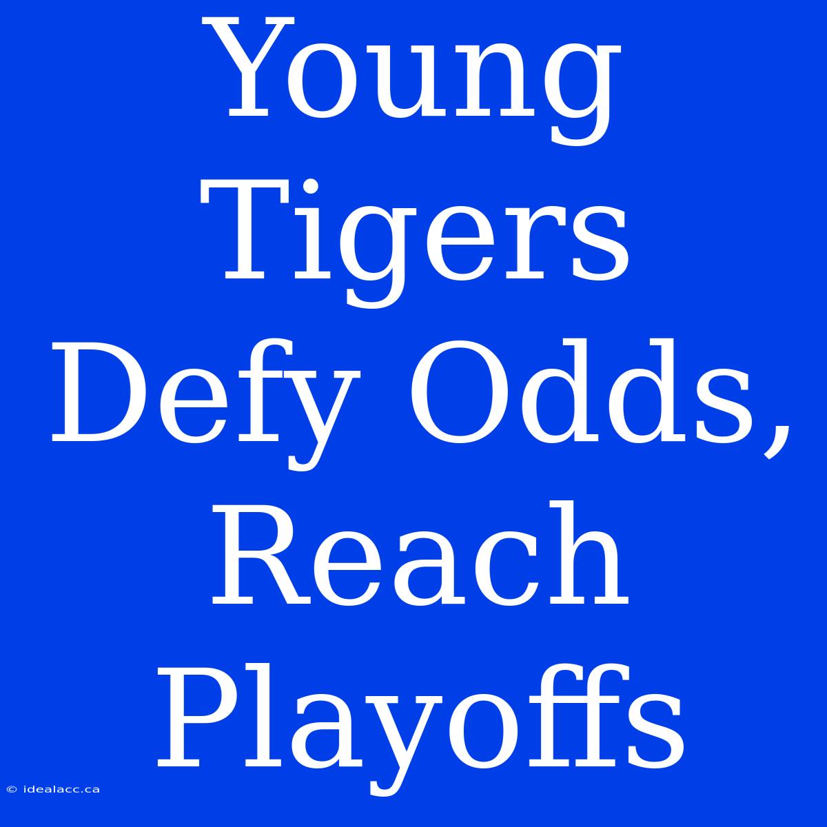 Young Tigers Defy Odds, Reach Playoffs