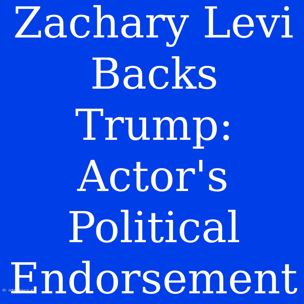 Zachary Levi Backs Trump: Actor's Political Endorsement