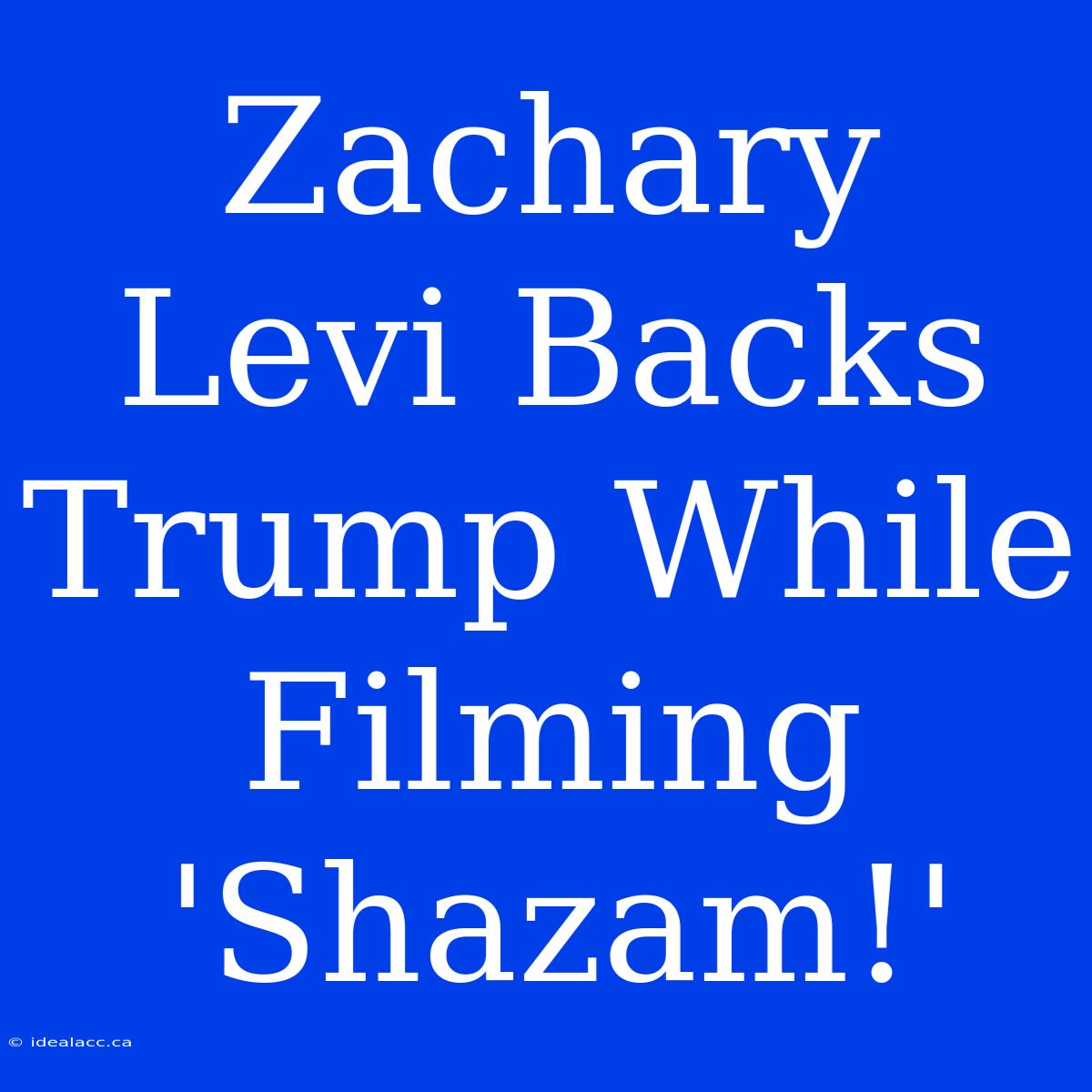 Zachary Levi Backs Trump While Filming 'Shazam!'