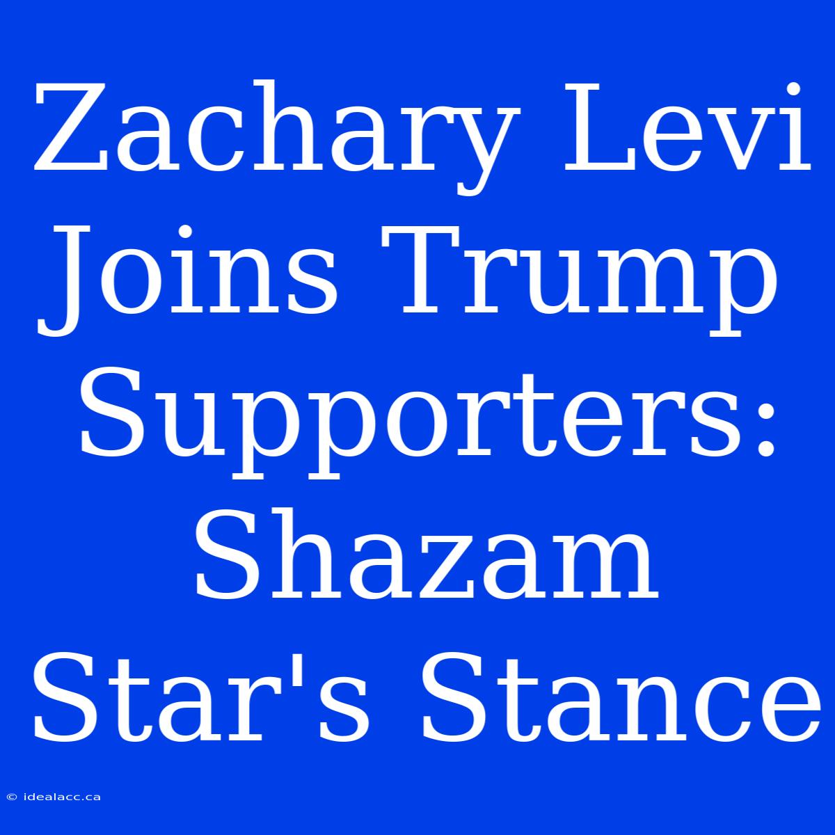 Zachary Levi Joins Trump Supporters: Shazam Star's Stance